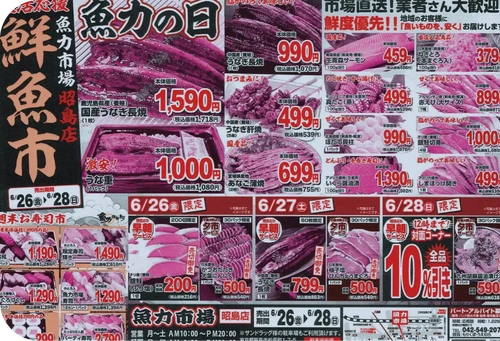 チラシ